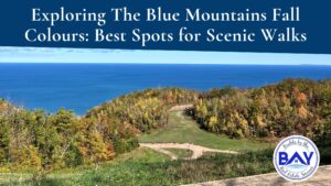 Exploring The Blue Mountains Fall Colours Best Spots for Scenic Walks