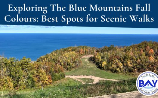 Exploring The Blue Mountains Fall Colours Best Spots for Scenic Walks