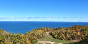 Loree Forest, The Blue Mountains, Fall 2025