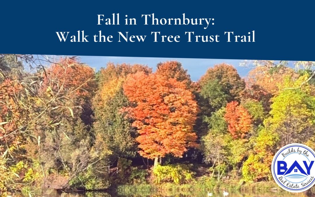 Fall in Thornbury Walk the New Tree Trust Trail