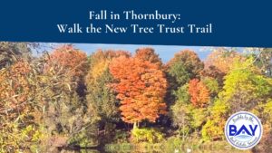 Fall in Thornbury Walk the New Tree Trust Trail