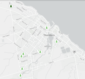 Tree trust trail tree map locations